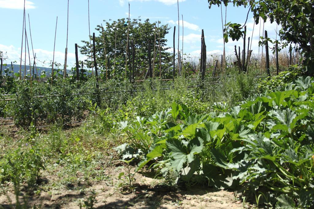 Tenuta La Santissima San Rocco a Pilli Exteriör bild